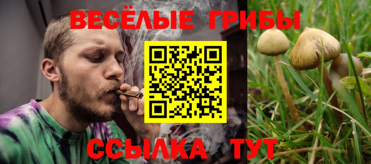 Галлюциногенные грибы мухоморы Жуковский