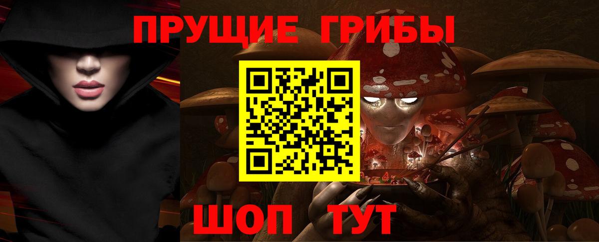 Жуковский  Галлюциногенные грибы мухоморы  Вход с VPN  Галлюциногенные грибы Psilocybe 
